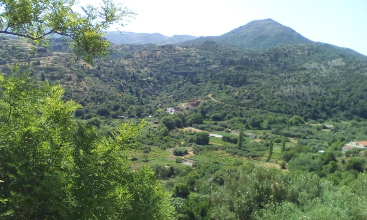 Kampos View Ikaria Apartment Evdilos  Exterior foto